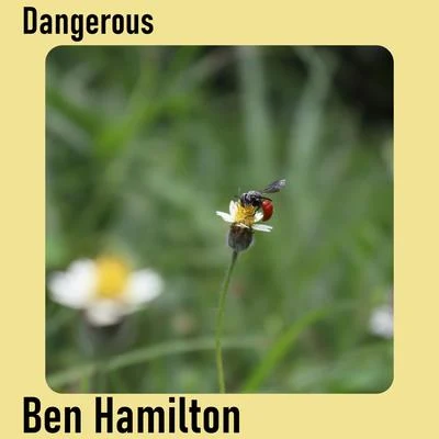 Ben Hamilton Dangerous