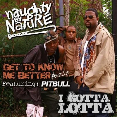 Naughty by Nature Get To Know Me BetterI Gotta Lotta