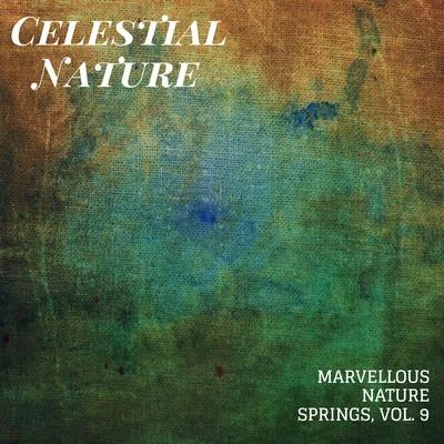 Nature Sounds/Rain Sounds For Sleep/White Noise Meditation Celestial Nature - Marvellous Nature Springs, Vol. 9