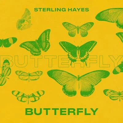 Space Buddha/Sterling Hayes Butterfly (feat. Space Buddha)