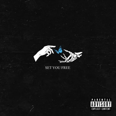 Phora Set You Free