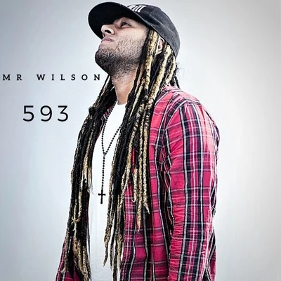 Mr. Wilson 593