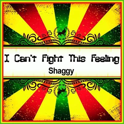 Shaggy I Cant Fight This Feeling (Ringtone)