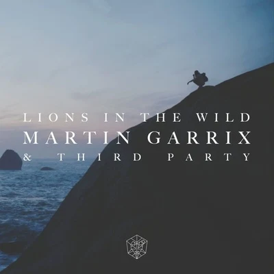 Martin Garrix Lions In The Wild