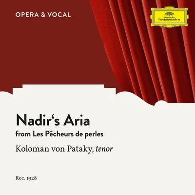 Koloman Von Pataky/Unknown Orchestra Bizet: Les pêcheurs de perles: Nadirs Aria