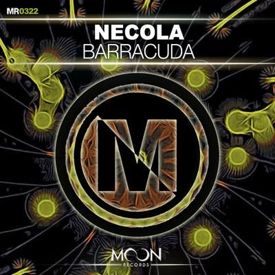 Necola Barracuda