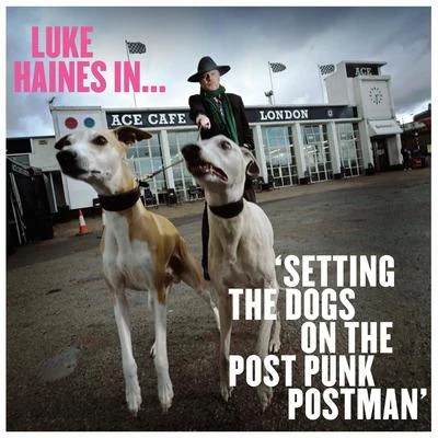 Luke Haines Setting The Dogs On The Post Punk Postman