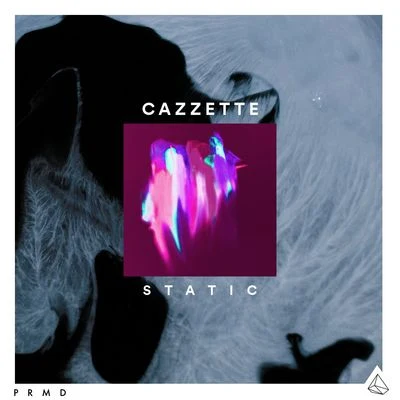 CAZZETTE Static