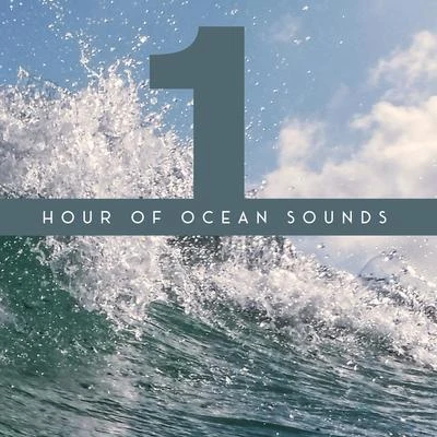 Echoes Of Nature/Majestic Ocean 1 Hour of Ocean Sounds - Collection of Majestic Wave Sounds, Perfect New Age Background for Meditation, Relaxation, Sleep and Study