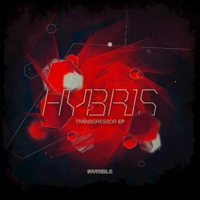 Hybris Transgressor