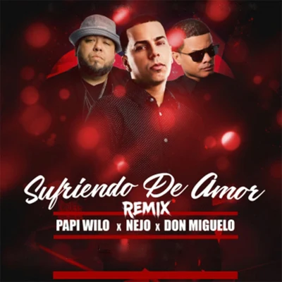 Papi Wilo/Nejo/Don Miguelo Sufriendo de Amor (Remix)