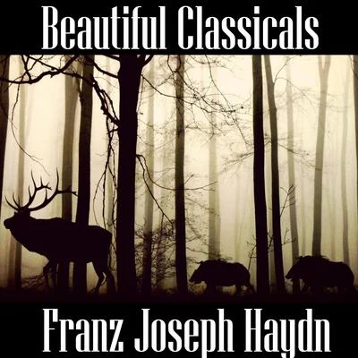 Franz Joseph Haydn Beautiful Classicals: Franz Joseph Haydn