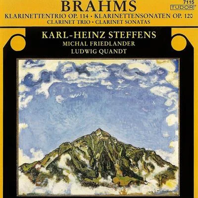 Karl-Heinz Steffens Brahms, J.: trio, op. 114clarinet sonatas no是. 1 安定 2 (Steffens, Q u按DT, fried藍朵兒)