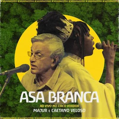 Majur/Caetano Veloso Asa Branca (342 Amazônia ao Vivo no Circo Voador)