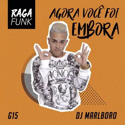 MC G15 Agora Você Foi Embora