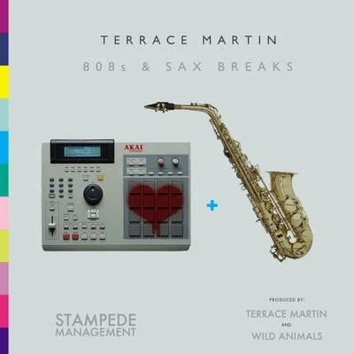 Terrace Martin 808s & Sax Breaks