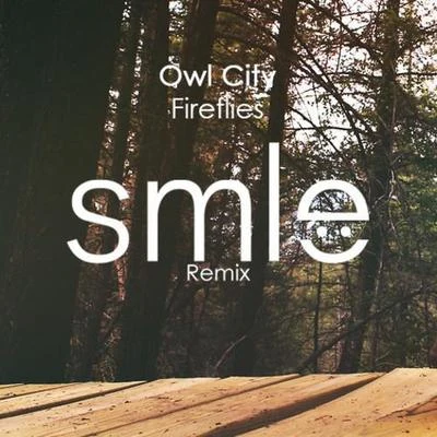 SMLE Fireflies (SMLE Remix)