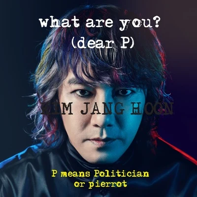 金長勳 What are you? (dear P. Politician or Pierrot)