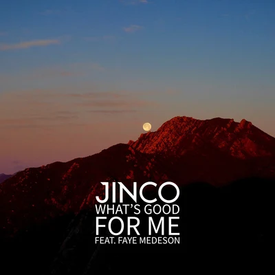 Faye Medeson/Jinco What's Good for Me