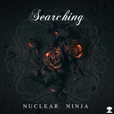 Nuclear Ninja Searching