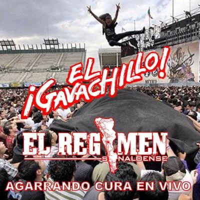 El Gavachillo/El Regimen Sinaloense Agarrando Cura (En Vivo)