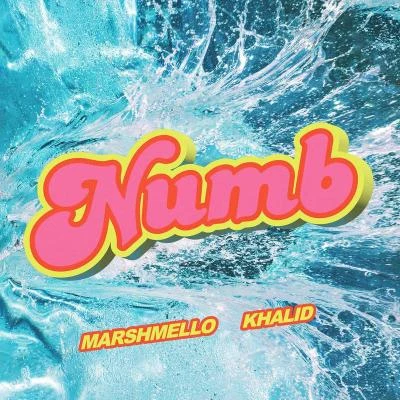 Khalid/Marshmello Numb