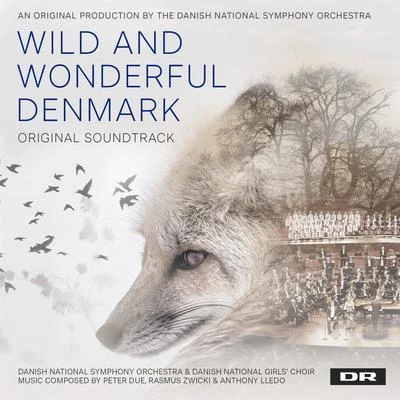 Danish National Symphony Orchestra Wild and Wonderful Denmark (Music from the Original TV Series)