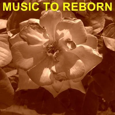 Robert Williams Music To Reborn