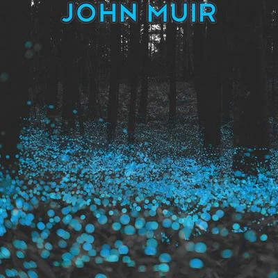 Gemini Rising John Muir