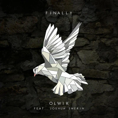 Joshua Swerin/OLWIK Finally (feat. Joshua Swerin)