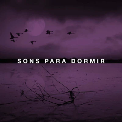 Rain Sounds/Ocean Sounds Collection/Spa & Relaxation Sons para Dormir: Música para Meditar e Relaxar