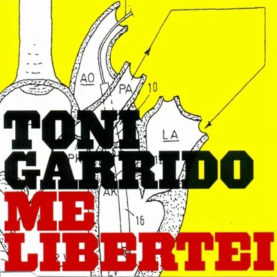 Toni Garrido Me Libertei