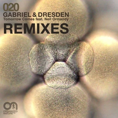 Gabriel &amp; Dresden Tomorrow Comes (Remixes)