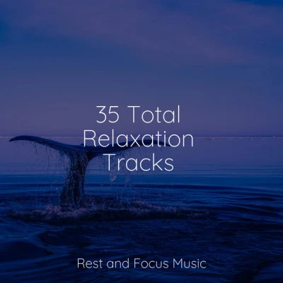 Calming Sounds/Preschool Kids/Exam Study Classical Music 35 Total Relaxation Tracks