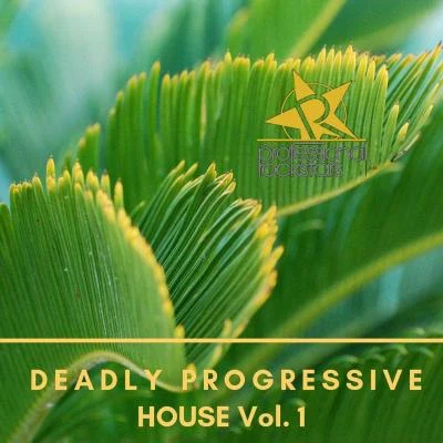 Livio Sandro/Alex Fonte/Livio Sandro feat. Cory Friesenhan/Guillermo Villalobos/Just Gi/Aykut Babadag Deadly Progressive House Vol. 1