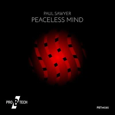 Paul Sawyer Peaceless Mind