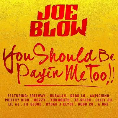 Joe Blow You Should Be Payin Me Too!!