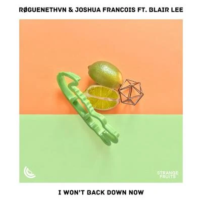 Joshua Francois/RØGUENETHVN I Won’t Back Down Now