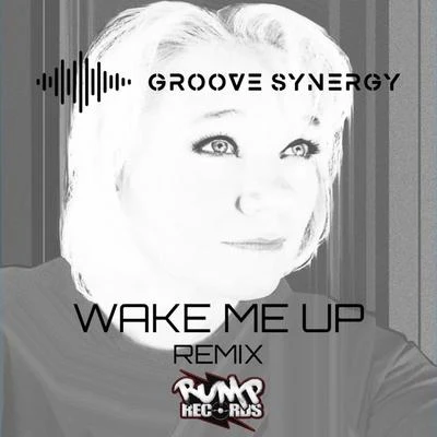 Shelley Nelson/Roney Jay/Qualifide Wake Me Up (Groove Synergy Remix)