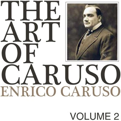 Fernando Previtali/Enrico Caruso/Orchestra dellAccademia Nazionale di Santa Cecilia The Art of Caruso, Vol. 2