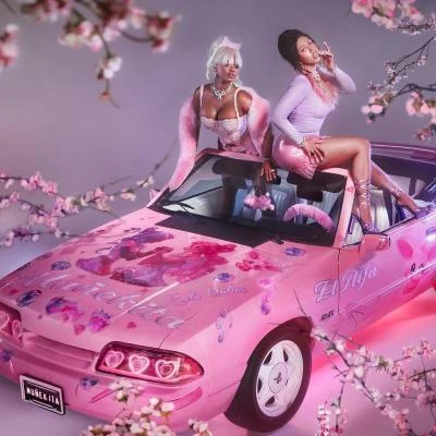 JT/El Alfa/Kali Uchis Muñekita (with El Alfa & JT from City Girls)