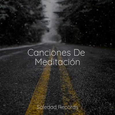 Musica relajante con sonidos de la naturaleza/Relajante Musica/Dormir Sol Canciones De Meditación