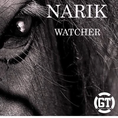 Narik Watcher