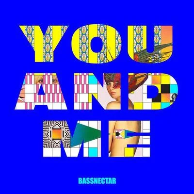 Bassnectar You & Me (feat. W. Darling)