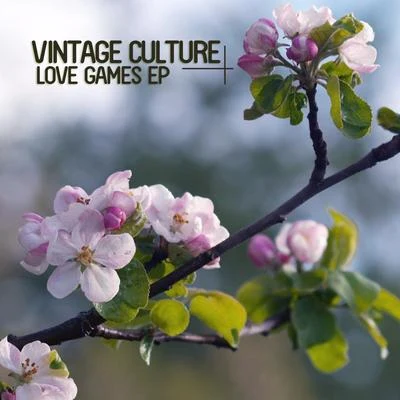 Vintage Culture Love Games