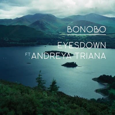 Bonobo Eyesdown