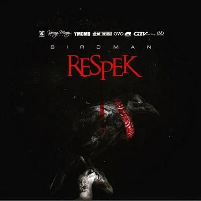 Birdman Respek - Single