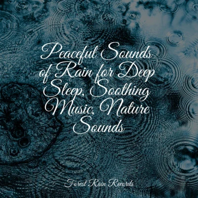 Rain Sounds XLE Library/Internal Yoga/Sol y Lluvia Peaceful Sounds of Rain for Deep Sleep, Soothing Music, Nature Sounds