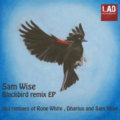 Sam Wise Blackbird Remixes