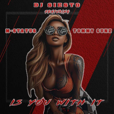 DJ Siesto Is You With It